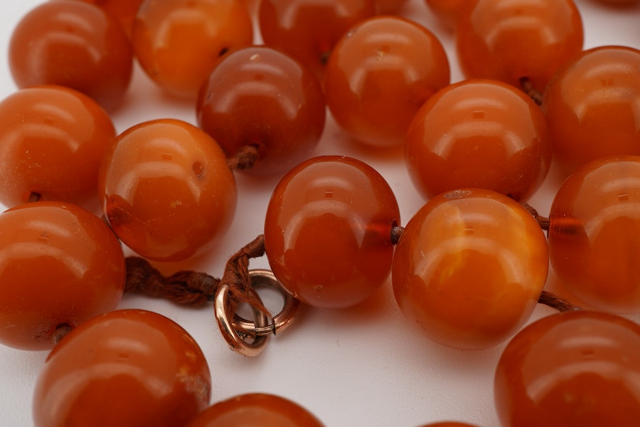 A single strand circular amber bead necklace, 56cm, gross weight 55 grams.
